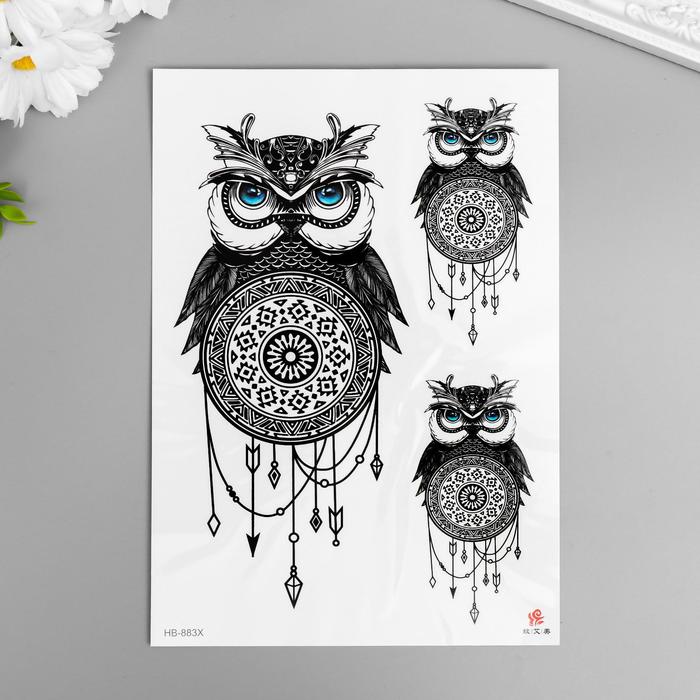 Татуировка на тело чёрная "Филины и ловцы снов" 21х15 см
Татуировка на тело чёрная "Филины и ловцы снов" 21х15 см