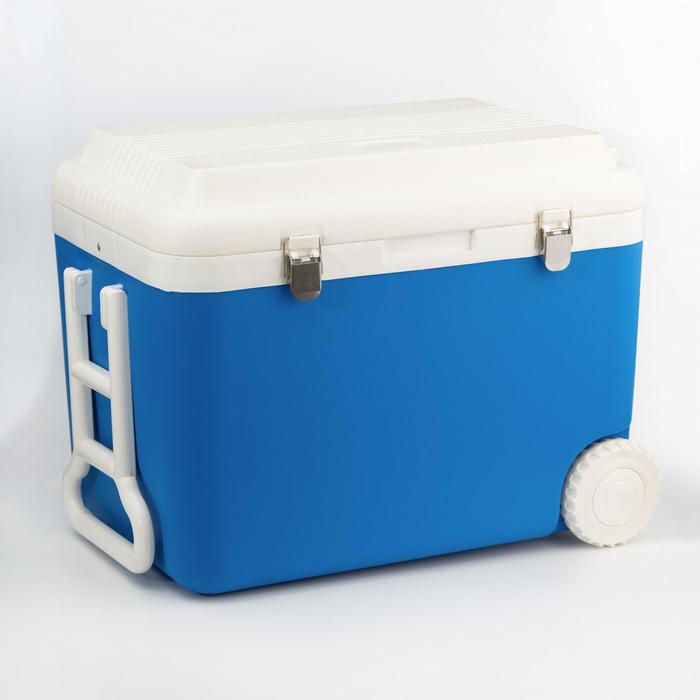 Изотермический контейнер DXCB-50 50 л
Изотермический контейнер DXCB-50 50 л