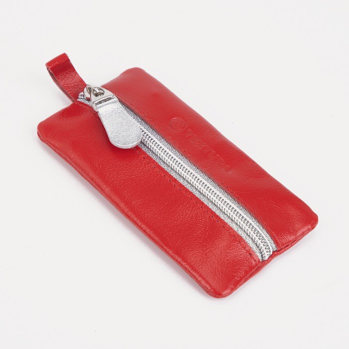 Ключница, длина 12 см, отдел на молнии, кольцо, цвет алый
Ключница, длина 12 см, отдел на молнии, кольцо, цвет алый