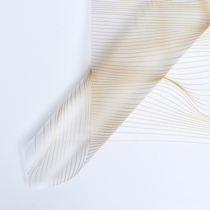 Пленка матовая, "Нежность", белая, 58 х 58 см
Пленка матовая, "Нежность", белая, 58 х 58 см