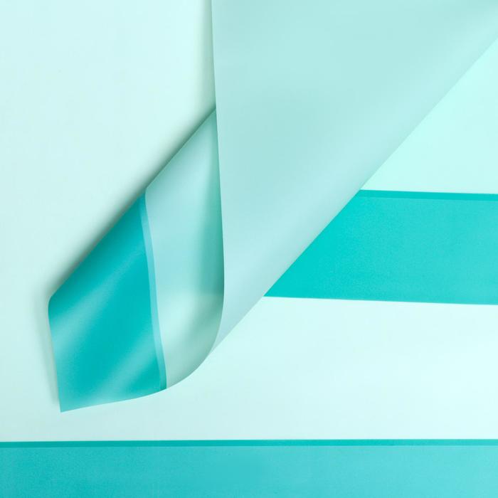 Пленка матовая, 58*58 см, зелёный
Пленка матовая, 58*58 см, зелёный