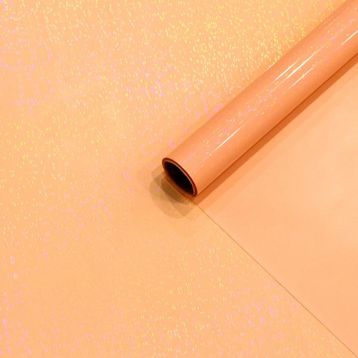 Пленка флористическая 58см*5м
Пленка флористическая 58см*5м