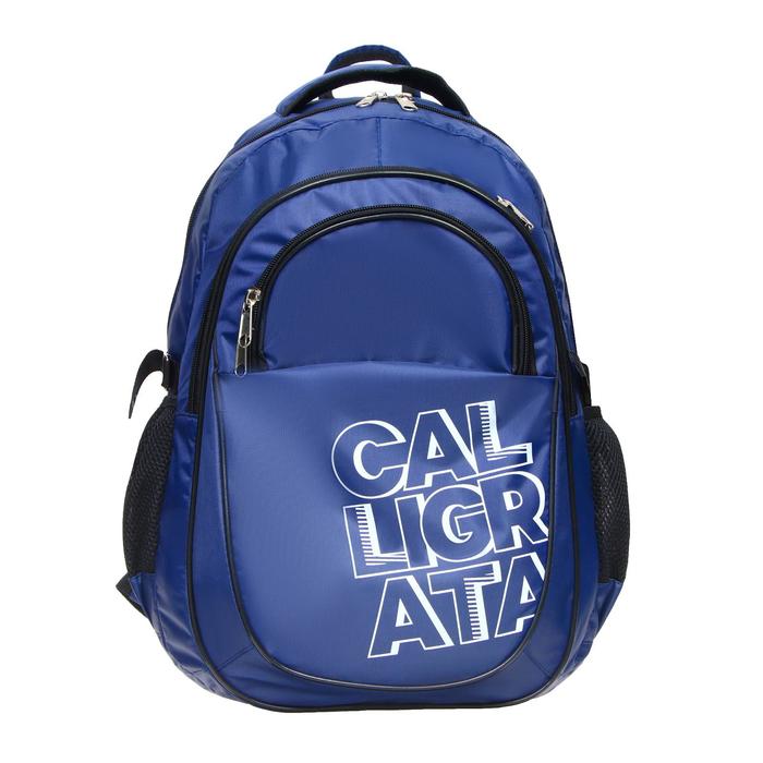 Рюкзак молодежный эргоном. мягкая спинка Calligrata 47х32х16 см, синий 
Рюкзак молодежный эргоном. мягкая спинка Calligrata 47х32х16 см, синий