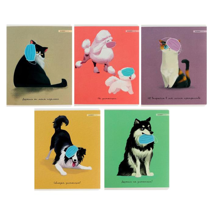 Тетрадь 48 листов в клетку "Держи дистанцию", обложка мелованный картон, УФ-лак, блок офсет, МИКС
Тетрадь 48 листов в клетку "Держи дистанцию", обложка мелованный картон, УФ-лак, блок офсет, МИКС