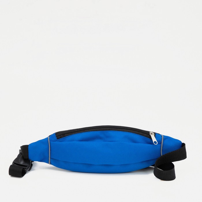 Поясная сумка на молнии, цвет синий
Поясная сумка на молнии, цвет синий