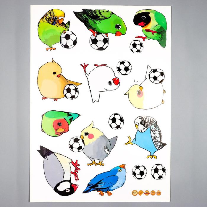 фото Наклейка пластик интерьерная цветная "попугайчики и футбольный мяч" 50х70 см
