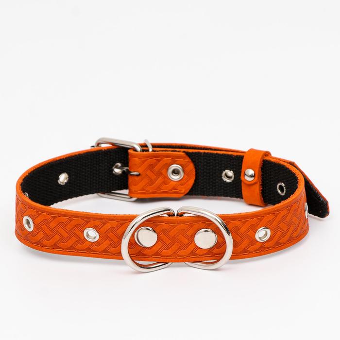 Ошейник кожаный усиленный капроном с полукольцом, 55 х 3 см, ОШ 30-57 см, рыжий
Ошейник кожаный усиленный капроном с полукольцом, 55 х 3 см, ОШ 30-57 см, рыжий