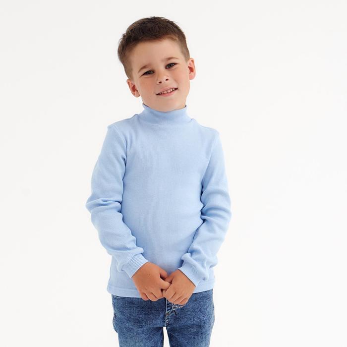 Водолазка детская, цвет голубой, рост 116
Водолазка детская, цвет голубой, рост 116