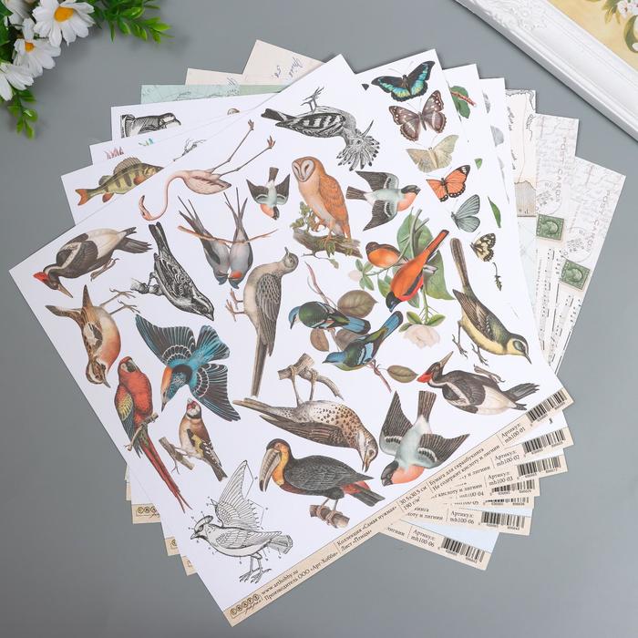 Набор бумаги для скрапбукинга Craft Paper "Самая нужная" 30.5х30.5 см, 16 листов
Набор бумаги для скрапбукинга Craft Paper "Самая нужная" 30.5х30.5 см, 16 листов