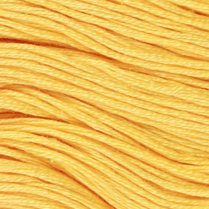 Нитки мулине, 10 ± 1 м, цвет пшеничный №0506 
Нитки мулине, 10 ± 1 м, цвет пшеничный №0506