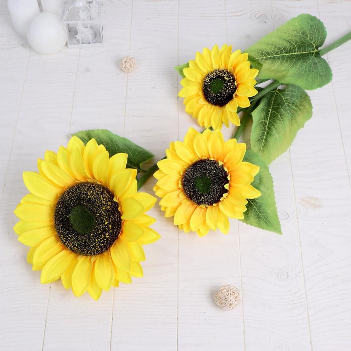 Цветок искусственный "Подсолнух крупный" 120см (диаметр цветка 22см, 16см)
Цветок искусственный "Подсолнух крупный" 120см (диаметр цветка 22см, 16см)