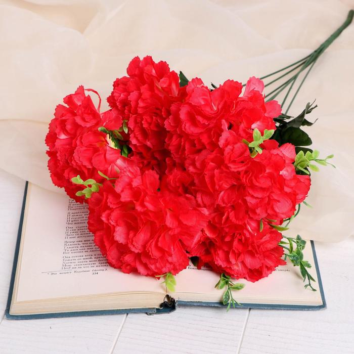 Букет "Шарики" 58 см (диаметр цветка 10 см) микс
Букет "Шарики" 58 см (диаметр цветка 10 см) микс