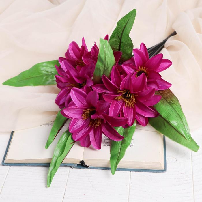 Букет "Астры" 50 см (диаметр цветка 12 см) микс 
Букет "Астры" 50 см (диаметр цветка 12 см) микс