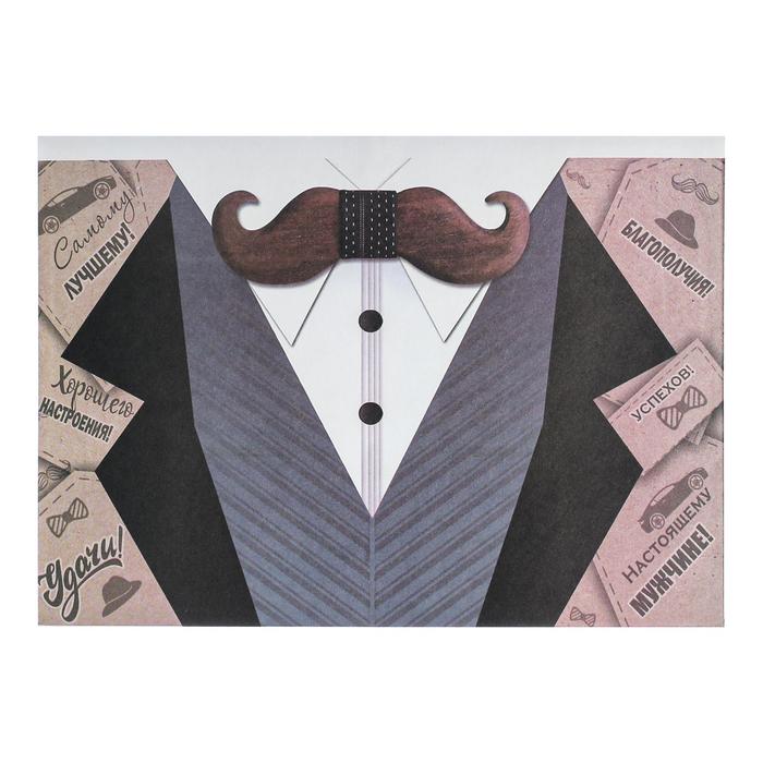 Почтовый конверт "Пиджак" белая рубашка, голубая жилетка, А5
Почтовый конверт "Пиджак" белая рубашка, голубая жилетка, А5