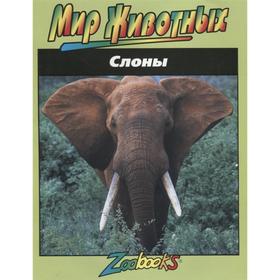 Слоны 
Слоны