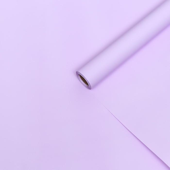 Пленка для цветов тонированная, матовая, светло-сиреневый, 0,5 х 10 м, 70 мкм
Пленка для цветов тонированная, матовая, светло-сиреневый, 0,5 х 10 м, 70 мкм