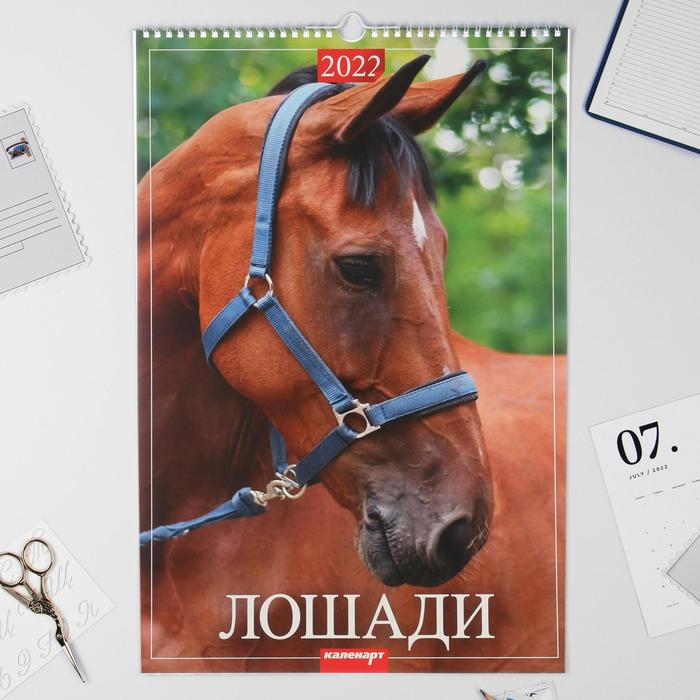 Календарь перекидной на ригеле "Лошади" 2022 год, 320х480 мм
Календарь перекидной на ригеле "Лошади" 2022 год, 320х480 мм