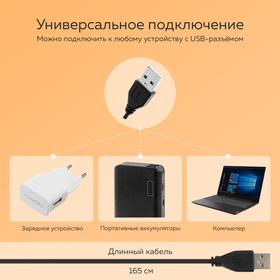 УЦЕНКА Набор Юного Блогера Windigo KIDS CB-98, кольцевая лампа, штатив, микрофон, пульт
УЦЕНКА Набор Юного Блогера Windigo KIDS CB-98, кольцевая лампа, штатив, микрофон, пульт