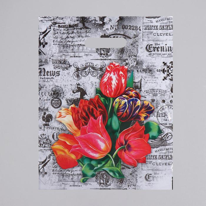 Набор пакетов "Бристоль", полиэтиленовый с вырубной ручкой по 5 шт, 30х40 см, 35 мкм
Набор пакетов "Бристоль", полиэтиленовый с вырубной ручкой по 5 шт, 30х40 см, 35 мкм