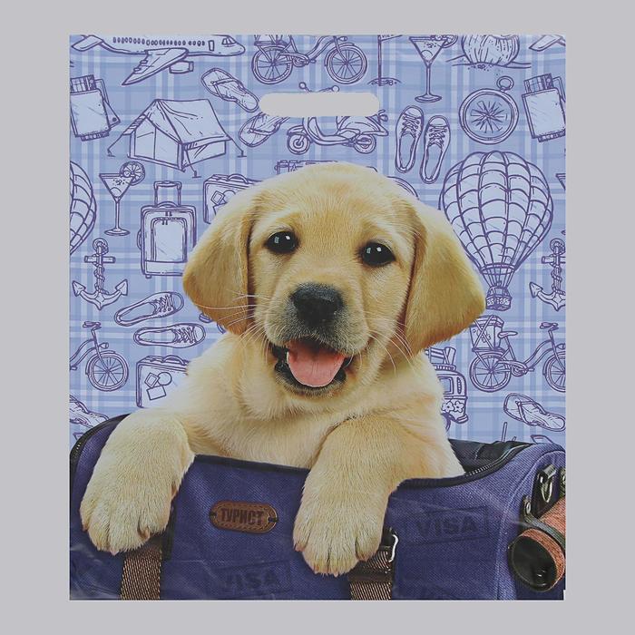 Набор пакетов "Турист", полиэтиленовый с вырубной ручкой по 5 шт, 38х47 см, 60 мкм
Набор пакетов "Турист", полиэтиленовый с вырубной ручкой по 5 шт, 38х47 см, 60 мкм