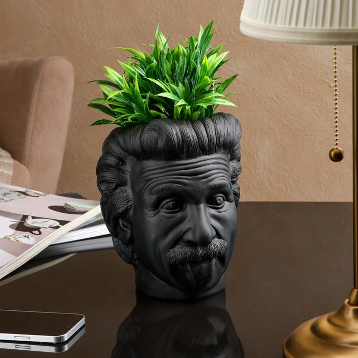 Фигурное кашпо-органайзер "Эйнштейн", чёрное, 21 см 
Фигурное кашпо-органайзер "Эйнштейн", чёрное, 21 см