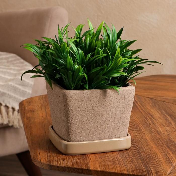 Горшок для цветов "Квадрат", шелк, капучино, керамика, 1 л
Горшок для цветов "Квадрат", шелк, капучино, керамика, 1 л