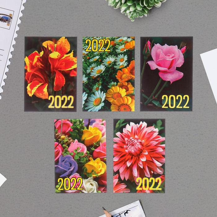 Карманный календарь "Цветы - 3" 2022 год, 7 х 10 см, МИКС
Карманный календарь "Цветы - 3" 2022 год, 7 х 10 см, МИКС