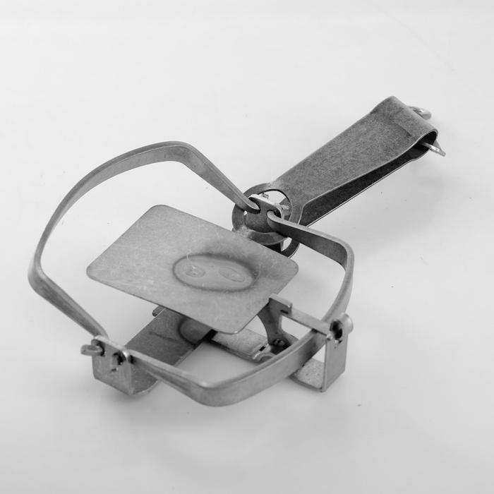 Ловушка на грызунов «Тайга» № 0
Ловушка на грызунов «Тайга» № 0