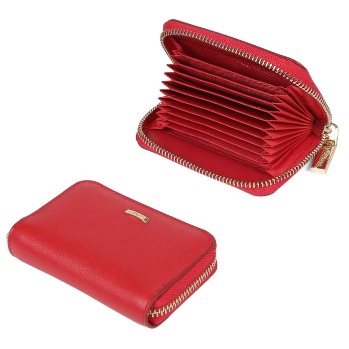 Визитница FABRETTI, молния, н/к,15101301N-4,красный
Визитница FABRETTI, молния, н/к,15101301N-4,красный