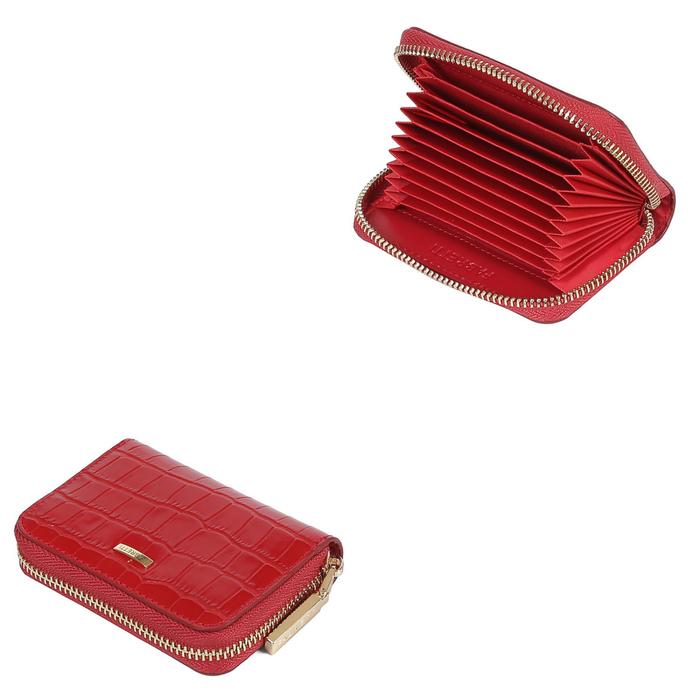 Визитница FABRETTI, молния, н/к,15101301Cro-4,красный
Визитница FABRETTI, молния, н/к,15101301Cro-4,красный