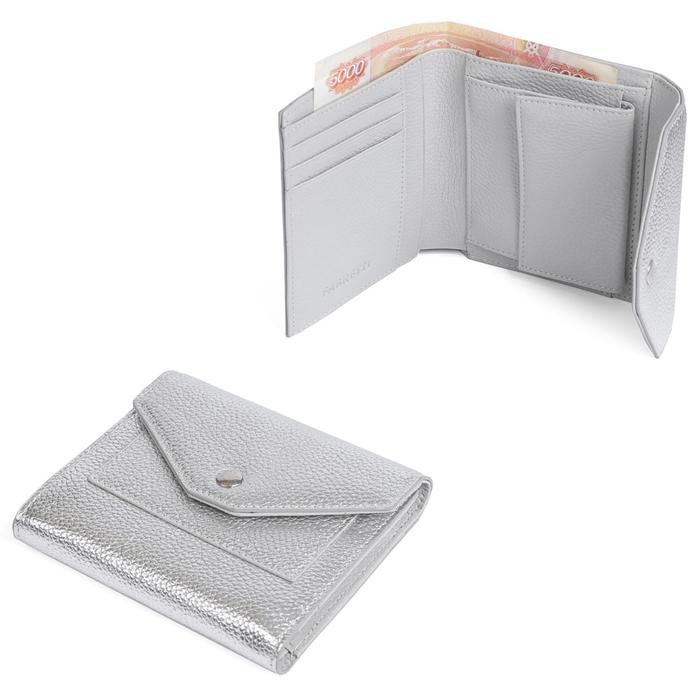 Кошелек FABRETTI, н/к 19010201D-42,серебряный
Кошелек FABRETTI, н/к 19010201D-42,серебряный