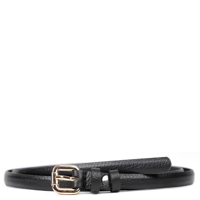 Ремень FABRETTI, н/к 1170-15-2,черный
Ремень FABRETTI, н/к 1170-15-2,черный