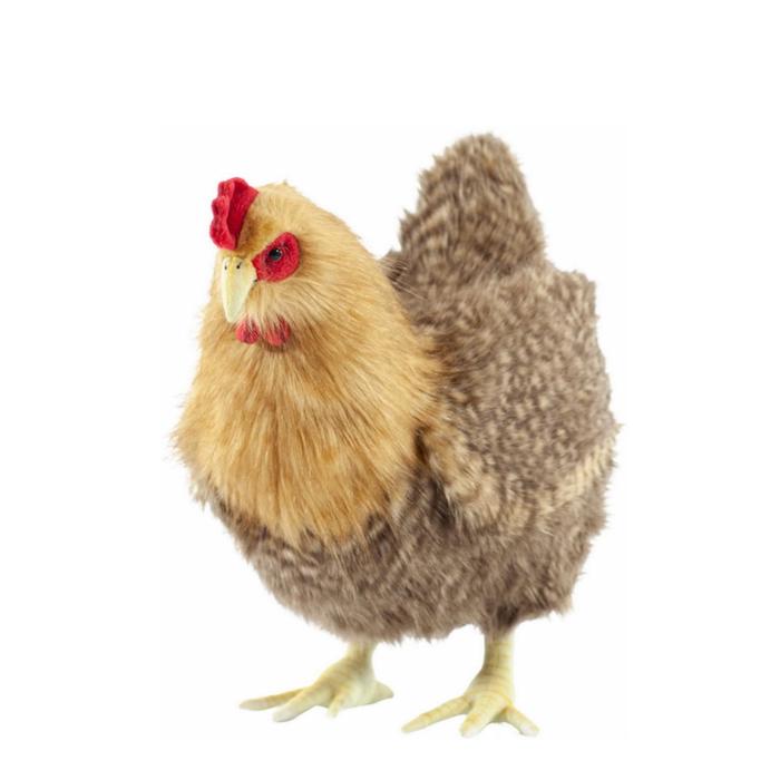 Курица, 37 см
Курица, 37 см