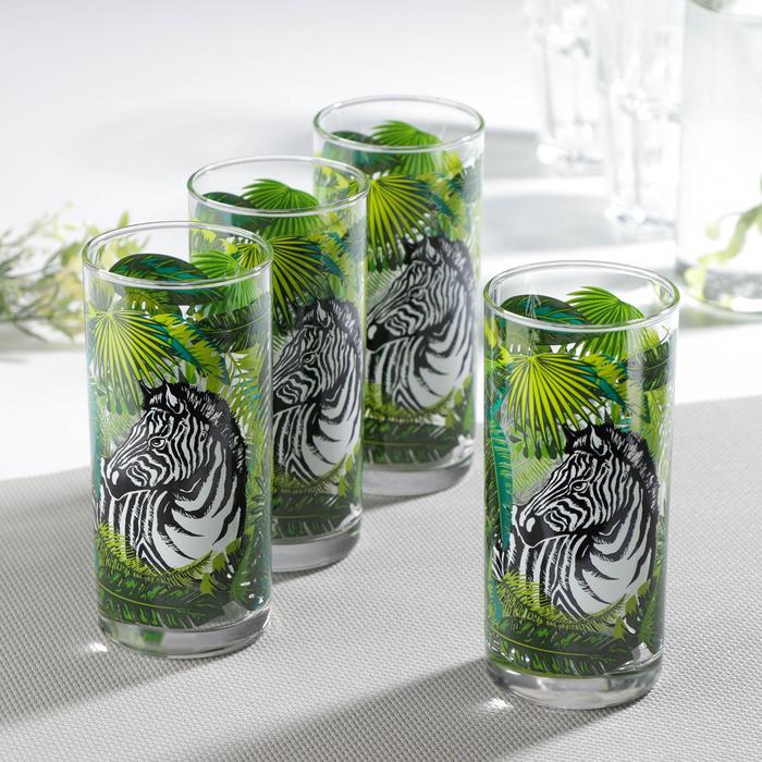 Набор стаканов «Джунгли», 4 шт, 300 мл
Набор стаканов «Джунгли», 4 шт, 300 мл