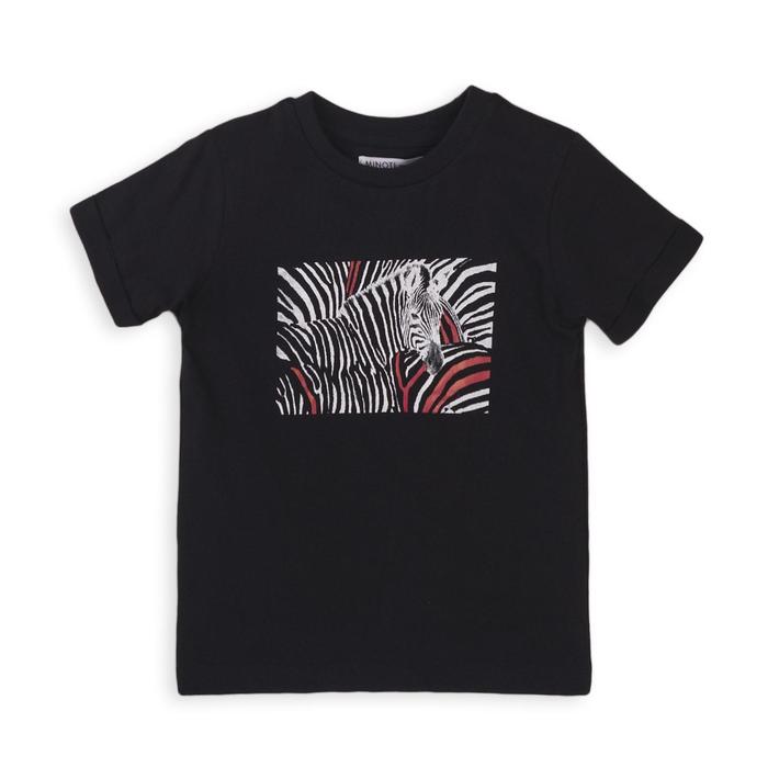 Футболка для мальчика, размер 12-13 лет, цвет черный
Футболка для мальчика, размер 12-13 лет, цвет черный