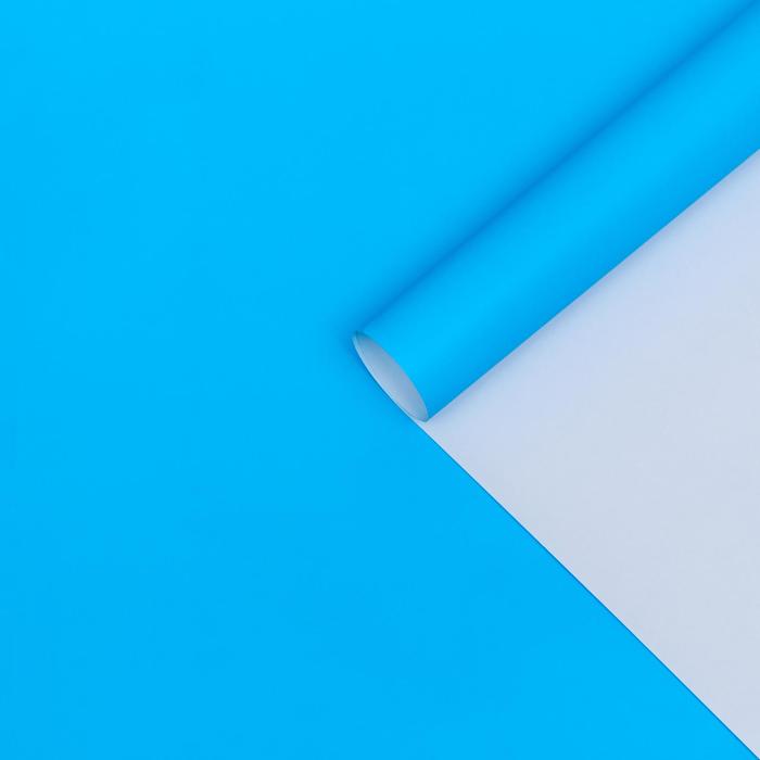 Бумага глянцевая, голубая, 0,5 х 0,7 м,2 листа
Бумага глянцевая, голубая, 0,5 х 0,7 м,2 листа