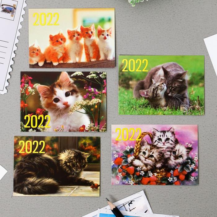 Карманный календарь "Коты - 4" 2022 год, 7 х 10 см, МИКС
Карманный календарь "Коты - 4" 2022 год, 7 х 10 см, МИКС
