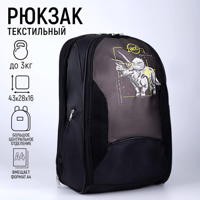 Рюкзак, 2 отдела на молниях, цвет чёрный, «Динозавр»
Рюкзак, 2 отдела на молниях, цвет чёрный, «Динозавр»