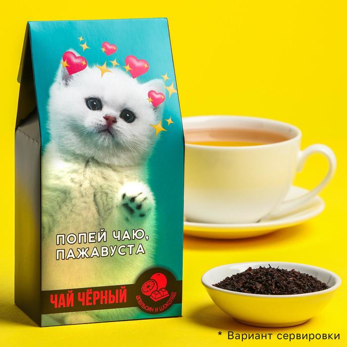 Чай чёрный «Попей чаю», вкус: шоколадный апельсин, 50 г
Чай чёрный «Попей чаю», вкус: шоколадный апельсин, 50 г