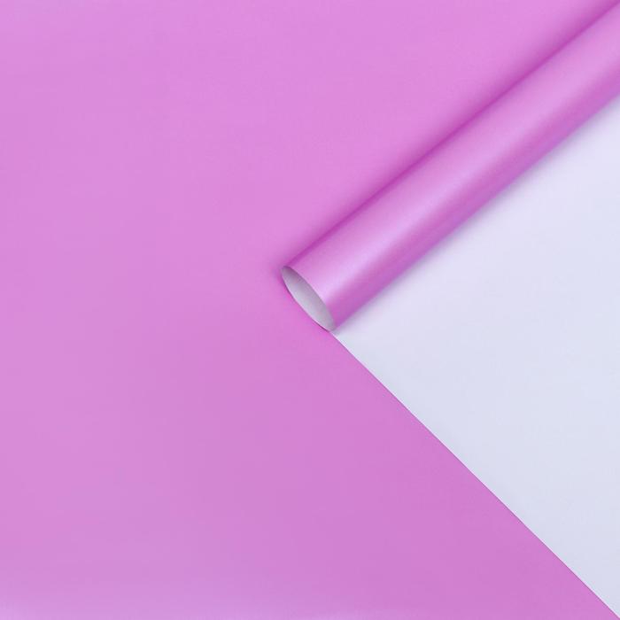 Бумага перламутровая, сиреневая, 0,5 х 0,7 м, 2 шт.
Бумага перламутровая, сиреневая, 0,5 х 0,7 м, 2 шт.