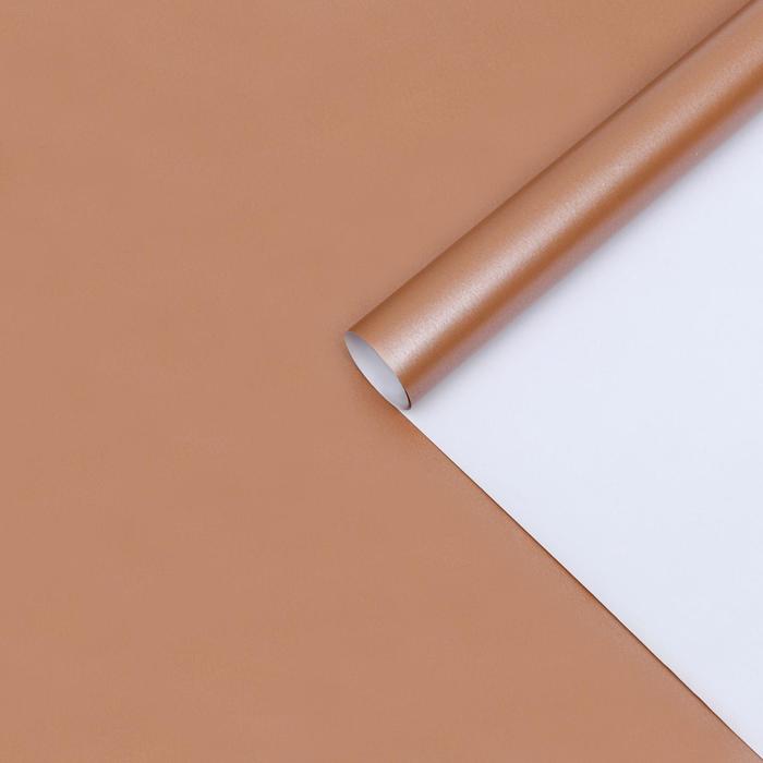 Бумага перламутровая, кофейная, 0,5 х 0,7 м, 2 шт. 
Бумага перламутровая, кофейная, 0,5 х 0,7 м, 2 шт.