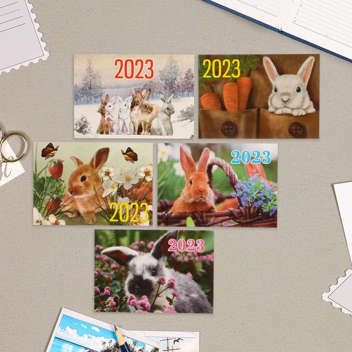 Карманный календарь "Символ года - 9" 2023 год, 7х10см, МИКС
Карманный календарь "Символ года - 9" 2023 год, 7х10см, МИКС