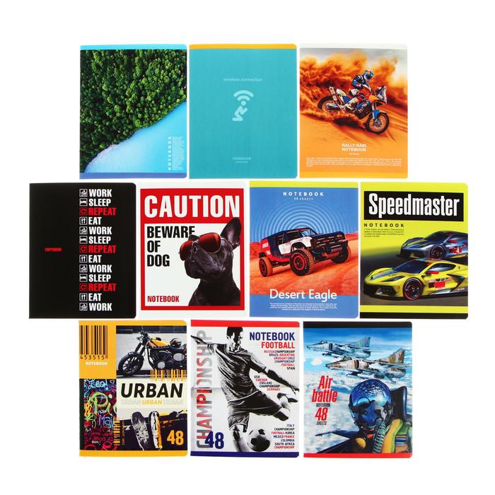 Тетрадь 48 листов в клетку "MIX-10 Мальчики", обложка мелованный картон, блок офсет, МИКС
Тетрадь 48 листов в клетку "MIX-10 Мальчики", обложка мелованный картон, блок офсет, МИКС