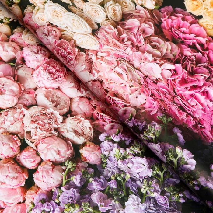 Бумага упаковочная глянцевая "Букет цветов", 0,5 х 0,7 м, набор 10 шт. 
Бумага упаковочная глянцевая "Букет цветов", 0,5 х 0,7 м, набор 10 шт.