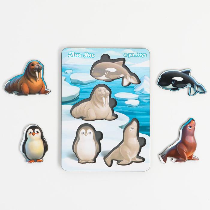 Сортер-пазл "Животные Арктики и Антарктики" 
Сортер-пазл "Животные Арктики и Антарктики"