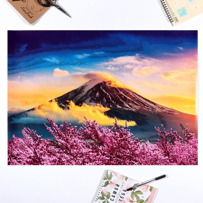 Постер "Сакура на фоне горы" тиснение фольгой, упаковка в тубус, 500х700 мм
Постер "Сакура на фоне горы" тиснение фольгой, упаковка в тубус, 500х700 мм