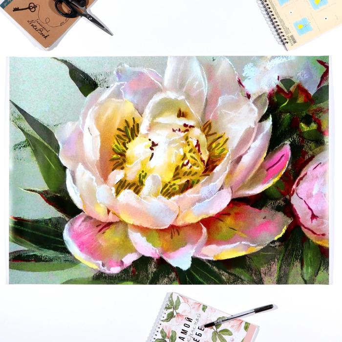 Постер "Пиона" тиснение фольгой, упаковка в тубус, 500х700 мм
Постер "Пиона" тиснение фольгой, упаковка в тубус, 500х700 мм