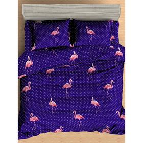 Постельное бельё евро Flamingo DKBL, размер 200x210 см, 200x215 см, 70x70 см - 2 шт
Постельное бельё евро Flamingo DKBL, размер 200x210 см, 200x215 см, 70x70 см - 2 шт