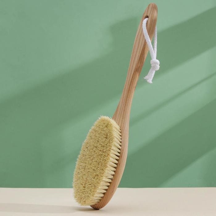 Щётка для сухого массажа MAXI, 38,5×8 см, тампико, с покрытием
Щётка для сухого массажа MAXI, 38,5×8 см, тампико, с покрытием