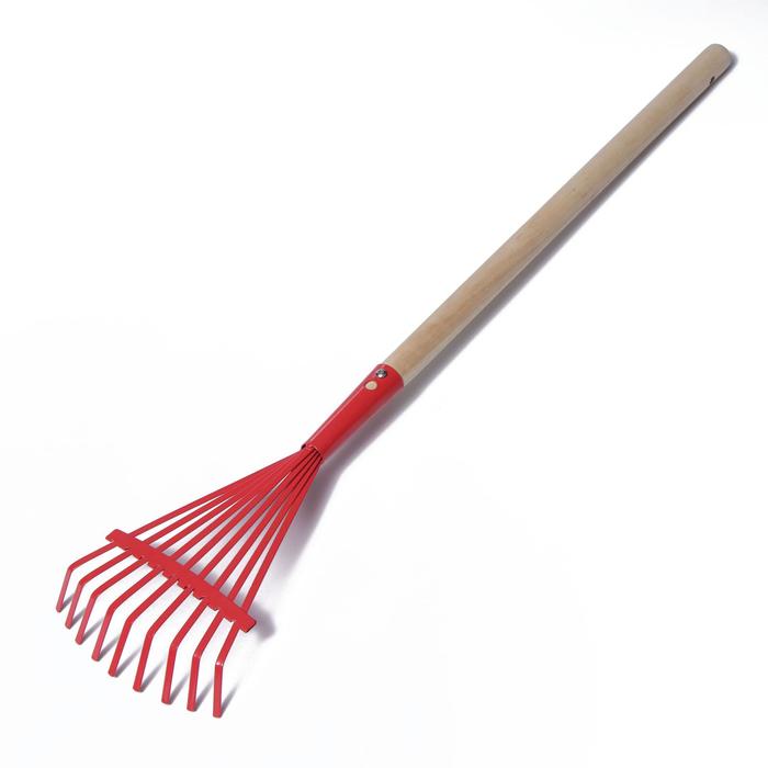 Грабли веерные, пластинчатые, 9 зубцов, оцинкованные, деревянный черенок 70 см
Грабли веерные, пластинчатые, 9 зубцов, оцинкованные, деревянный черенок 70 см